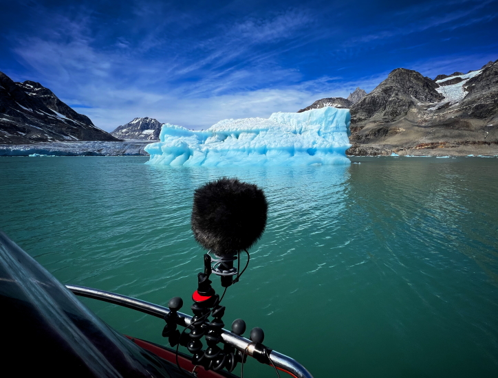 Sennheiser ThomasRexBeverly 08